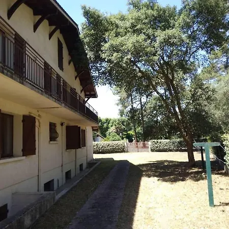 Papillon Lit-et-Mixe